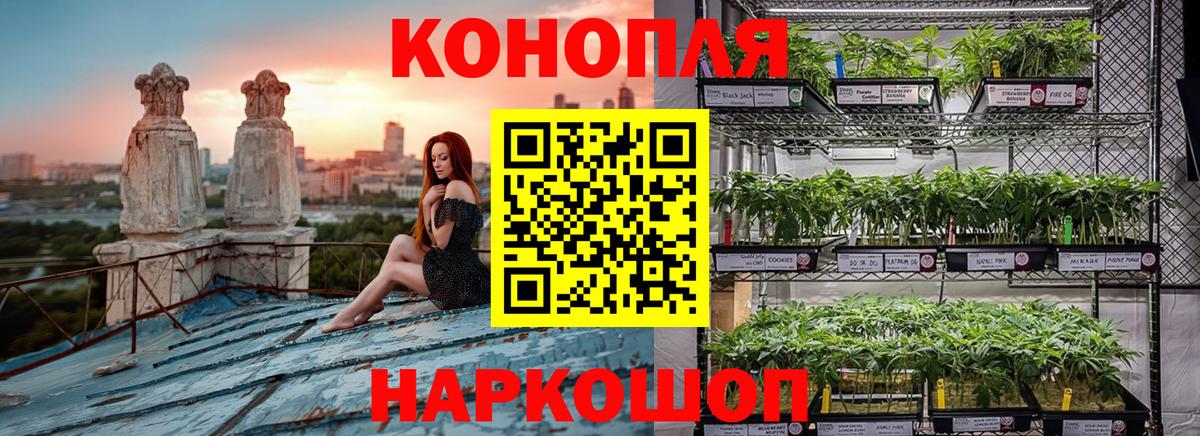 МАРИХУАНА тримм Светлоград